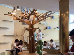 -飞行喵MR PILOT|猫舍·猫咖(静安大融城店)