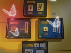 -上海昆虫博物馆