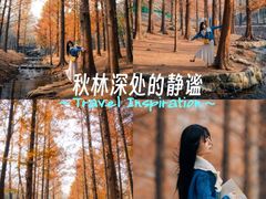-白水寺森林公园