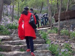 -第一山景区