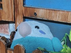 -逃脱反斗城沉浸剧情密室(北京路店)