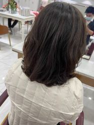 -镁连社·美联社