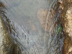 -北仑森林植物园