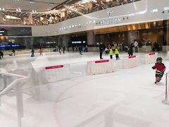 -TheRink大零溜冰场(IFS国金中心店)