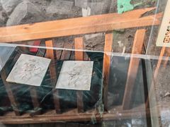 -中国第四纪冰川遗迹陈列馆