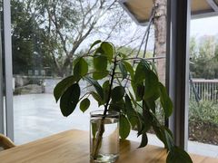 -木嘛working coffee&bar(碧道馆店)