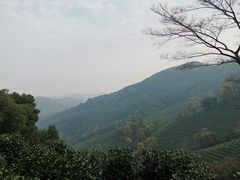 -龙井壹号·茶缘山景宴(龙井村店)