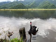 -大九湖