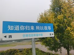 -空港花田景区