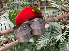 -南宫五洲植物乐园