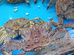 -鲜味食族水产·海鲜餐厅