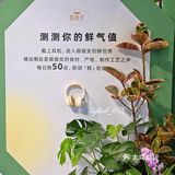 消博会偶遇薇薇安‼️伍仁月饼让我刮目相看💥