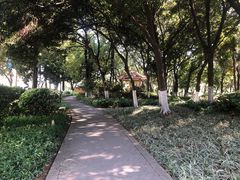 -黄埔荔枝公园