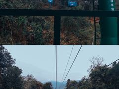 -野象谷景区