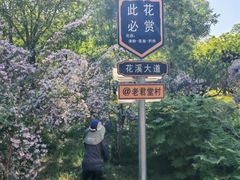 -老君堂公园