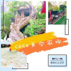 -可可天空农场(中大店)