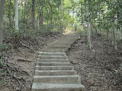 -上海佘山国家森林公园天马山园