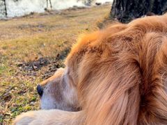 -两河城市森林公园