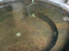 -四季贵州·山地温泉水世界