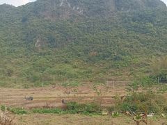 -张钰强中医正骨推拿连锁(唐家人才公寓店)