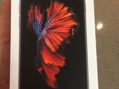 -Apple 零售店(Causeway Bay)