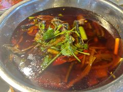 -高坎一品甲鱼庄(两河店)