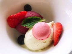 -蝶舍·MAISON PAPILLON