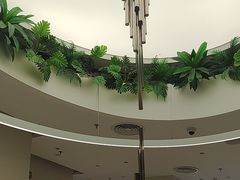 -喜茶(深圳万象前海店)