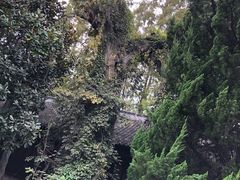 -汇龙潭