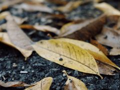 -杭州城北体育公园