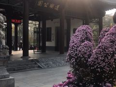 -莲湖公园