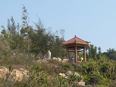 -广东惠东海龟国家级自然保护区