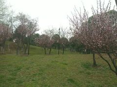 -堤角公园