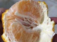 -鲜丰水果(九洲新世界花苑店)