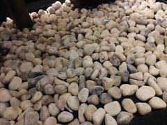 -Dragonfly悠庭·按摩Spa(浦东嘉里城店)