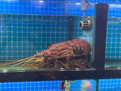 -醉壹号海鲜大排档(厦门美食地标店)