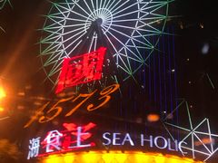 -星城之眼摩天轮
