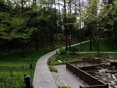 -溪口-滕头旅游景区