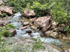 -广州白江湖森林公园