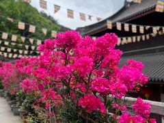 -杭州上天竺法喜讲寺