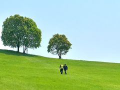 -衢州飞鸿滑草场
