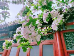 -元大都城垣遗址公园