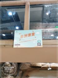 -鲁比猴非洲探索部落(喜盈门店)
