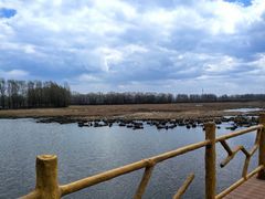 -白渔泡湿地公园