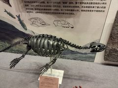 -贵州省地质博物馆