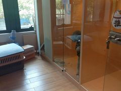 -Pets First伊珊娜洗护·精致美容·家庭式寄养(新会路店)