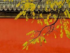 -承恩寺