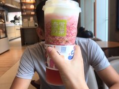 -奈雪的茶(大梅沙8号仓店)