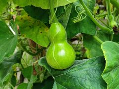 -会稽山峡洞漂流-上青古道