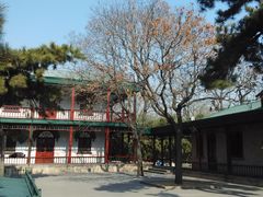 -北京动物园